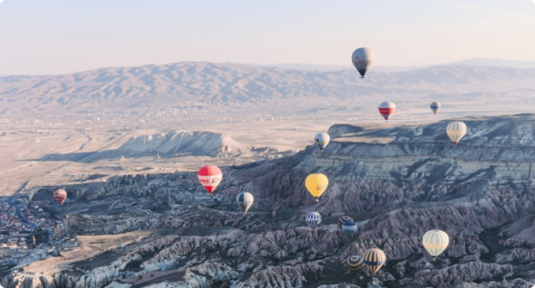 free-bird-travel-details free-bird-travel-details