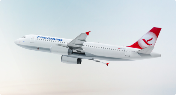 freebird-airlines-details freebird-airlines-details